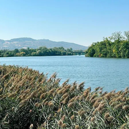 La Maison En Bord De Saone - Rive Gauche Appartement *