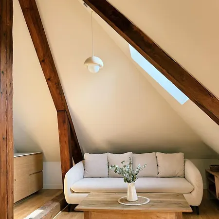 Appartement La Maison En Bord De Saone - Rive Gauche